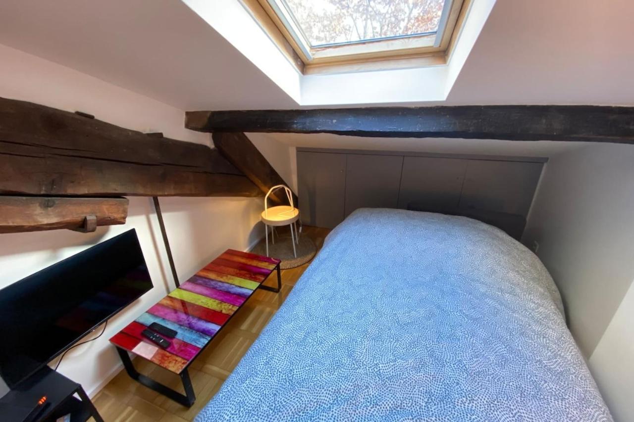 Le Petit Arloing-Studio Quais De Saone Vaise Lyon Dış mekan fotoğraf